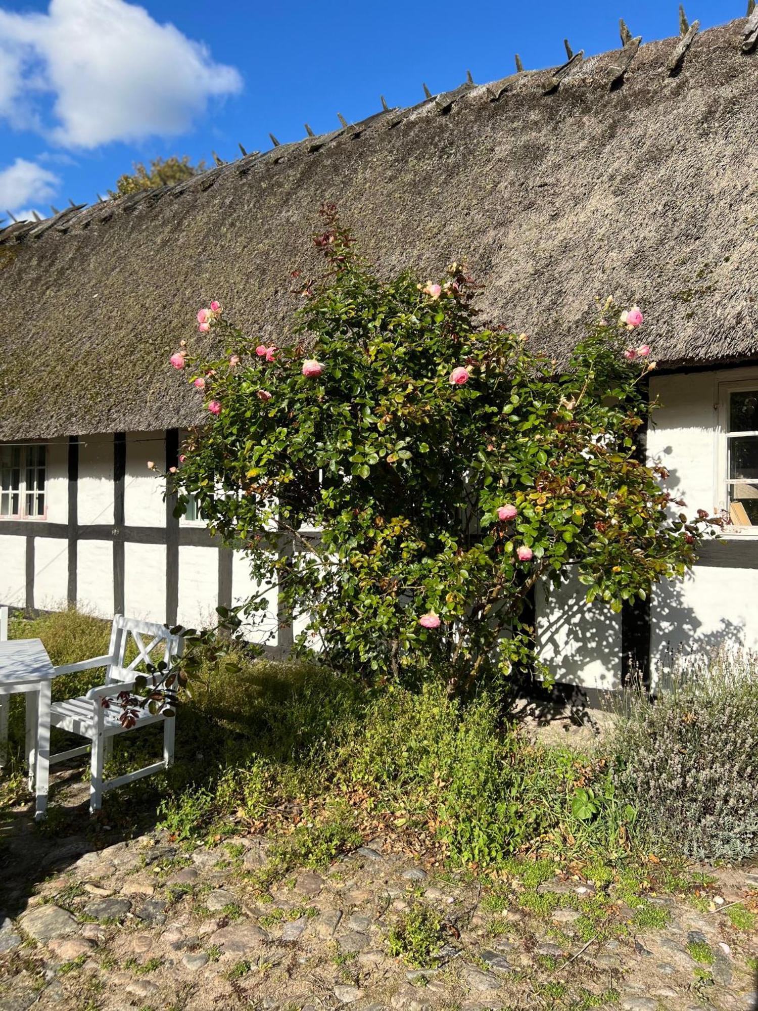 Solbjerggaard Bed & Breakfast Faaborg Exterior photo