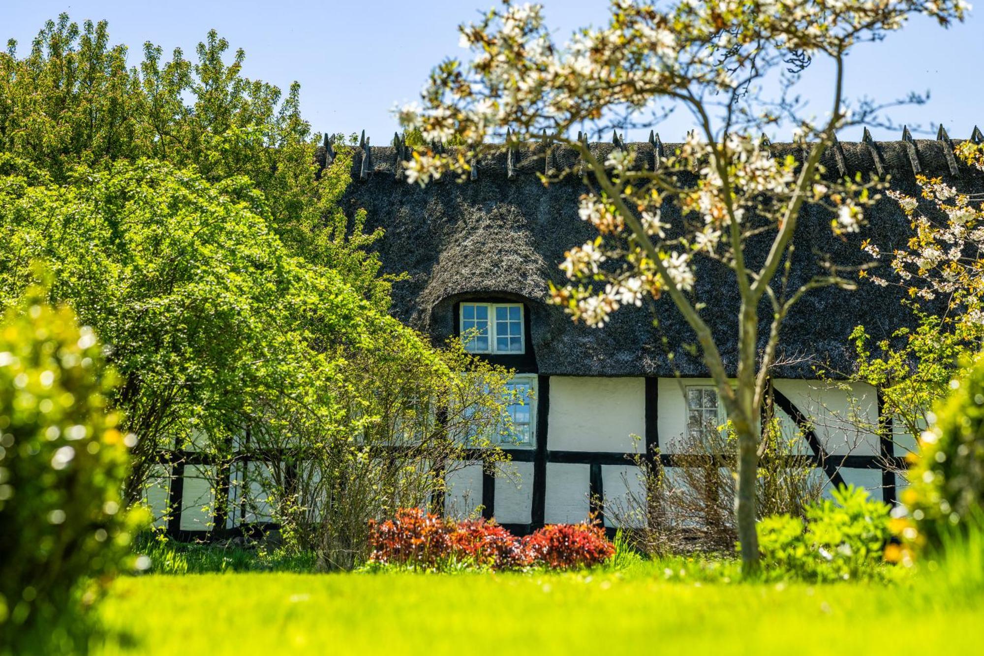 Solbjerggaard Bed & Breakfast Faaborg Exterior photo