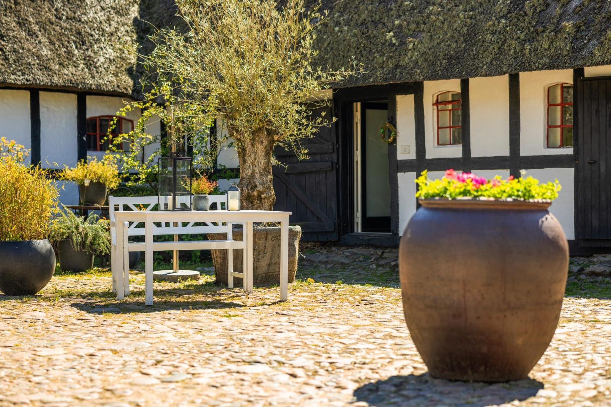 Solbjerggaard Bed & Breakfast Faaborg Exterior photo